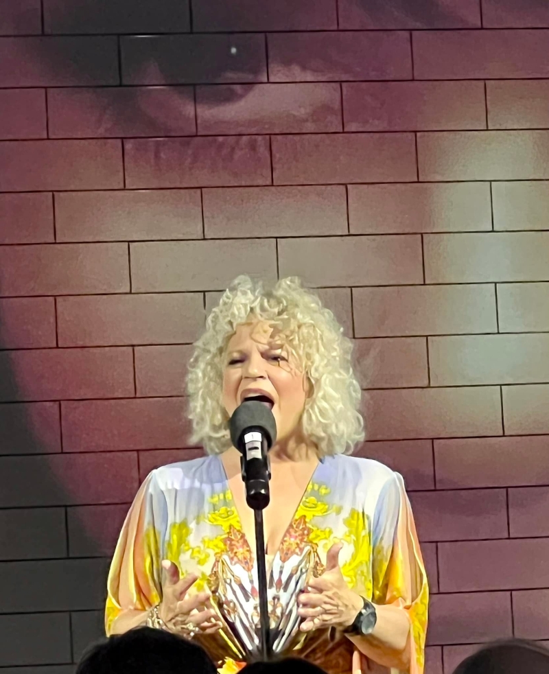 DIFFERENT DRUM THE MUSIC OF LINDA RONSTADT at Palm Canyon Theatre